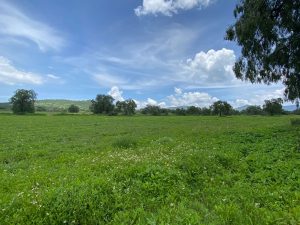 Terreno en Venta en Tecamatl