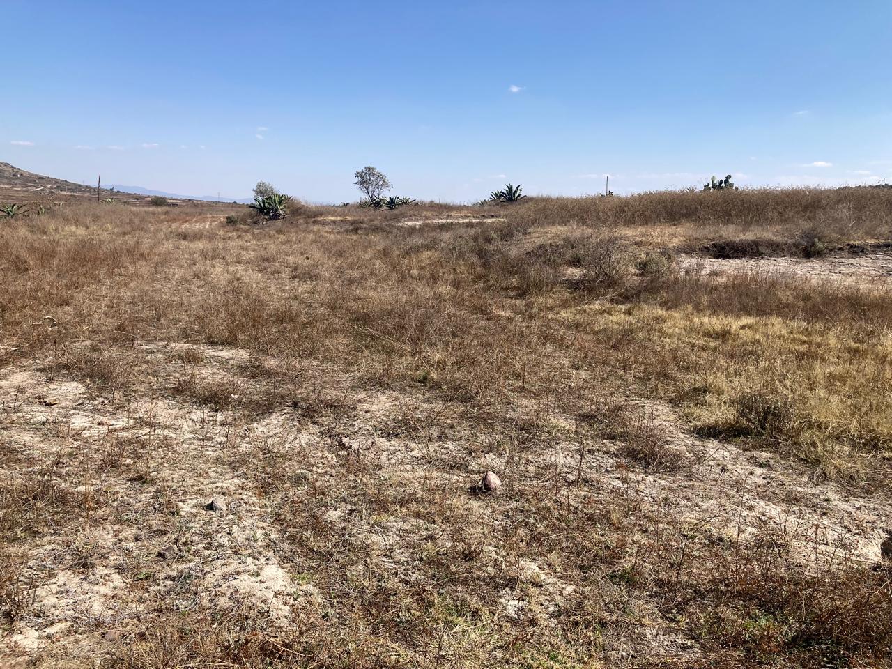 Parcela en Venta en San Agustín Tlaxiaca Colonia el Tepozan - Imagen 2