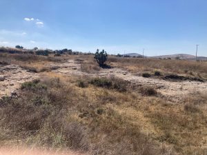 Parcela en Venta en San Agustín Tlaxiaca Colonia el Tepozan