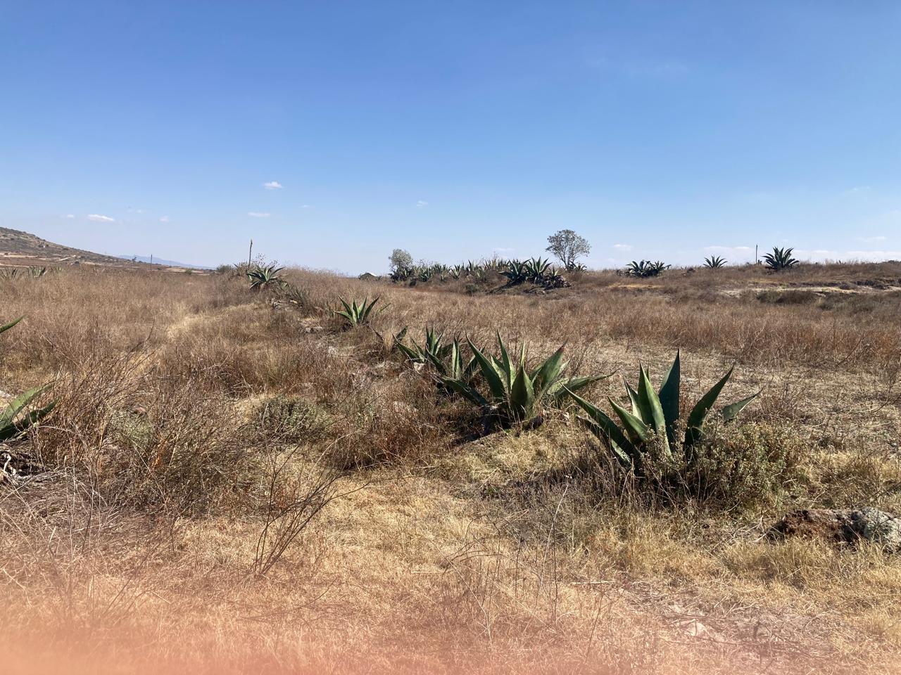Parcela en Venta en San Agustín Tlaxiaca Colonia el Tepozan - Imagen 4